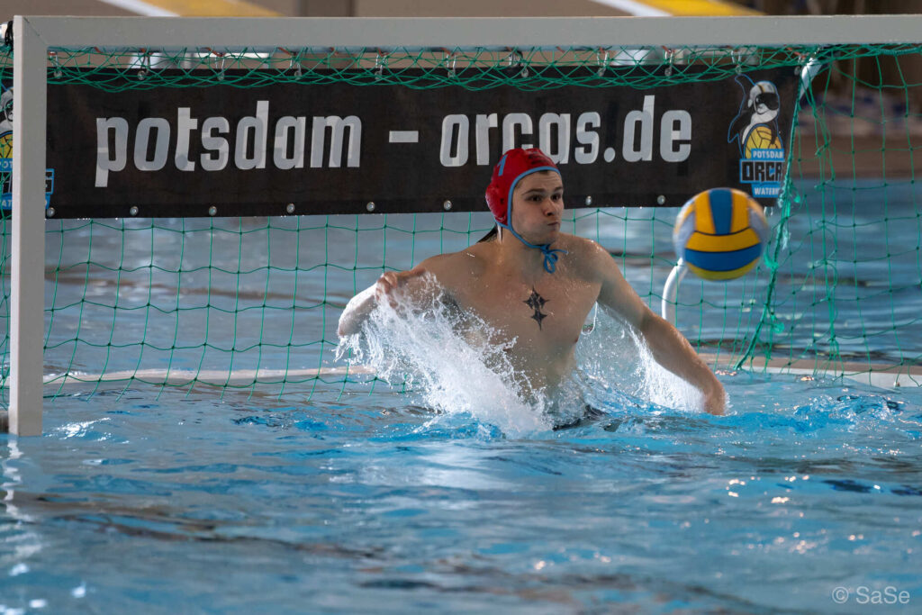 auf dem Bild: Trotz Niederlage „Spieler des Tages“: Erik Dortmann im Potsdamer Tor glänzte mit spektakulären Paraden. (Foto: S.Seifert)
