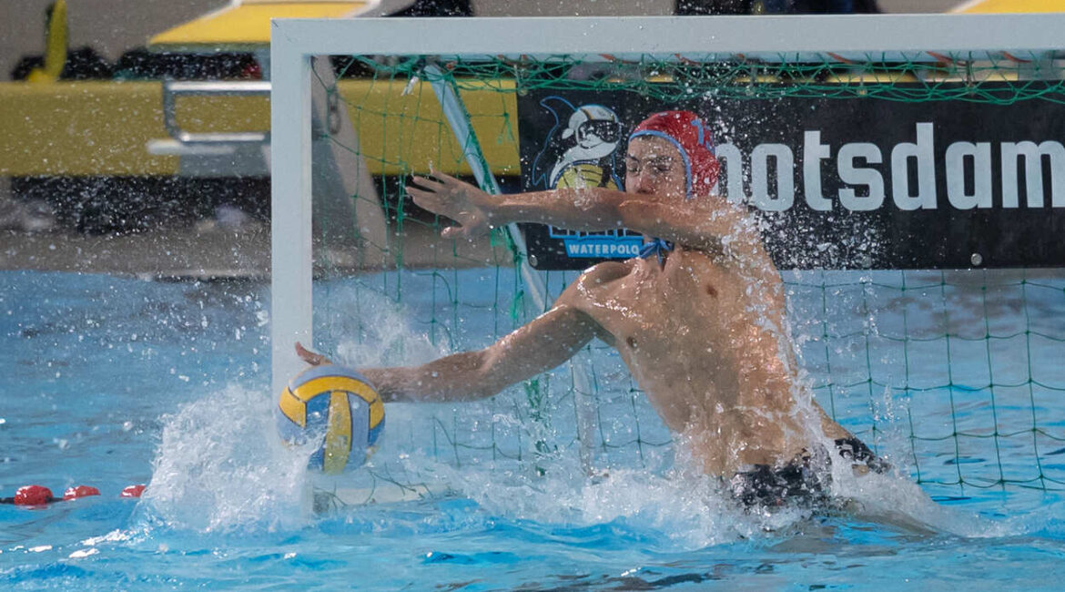 Foto: Max Rössel im Potsdamer Tor hat derzeit viel zu tun. (Foto: S. Seifert)